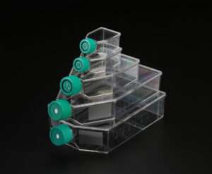 Cell Culture Flask