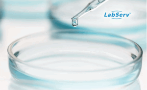 Labserv - Petri dish (2)