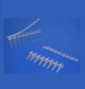 PCR Products
