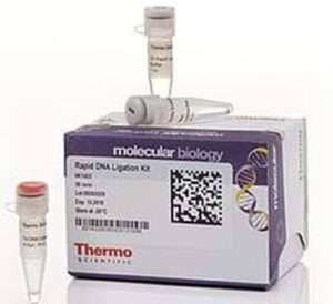 Rapid DNA Ligation Kit