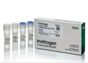 DNA/RNA kit