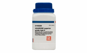 image - 2025-06-11T213113.979