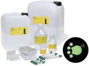 image - 2025-06-11T222824.749