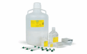 image - 2025-06-11T223335.747