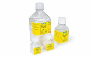 image - 2025-06-11T223408.161